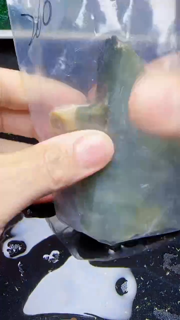 未镶嵌挂件翡翠?****?260