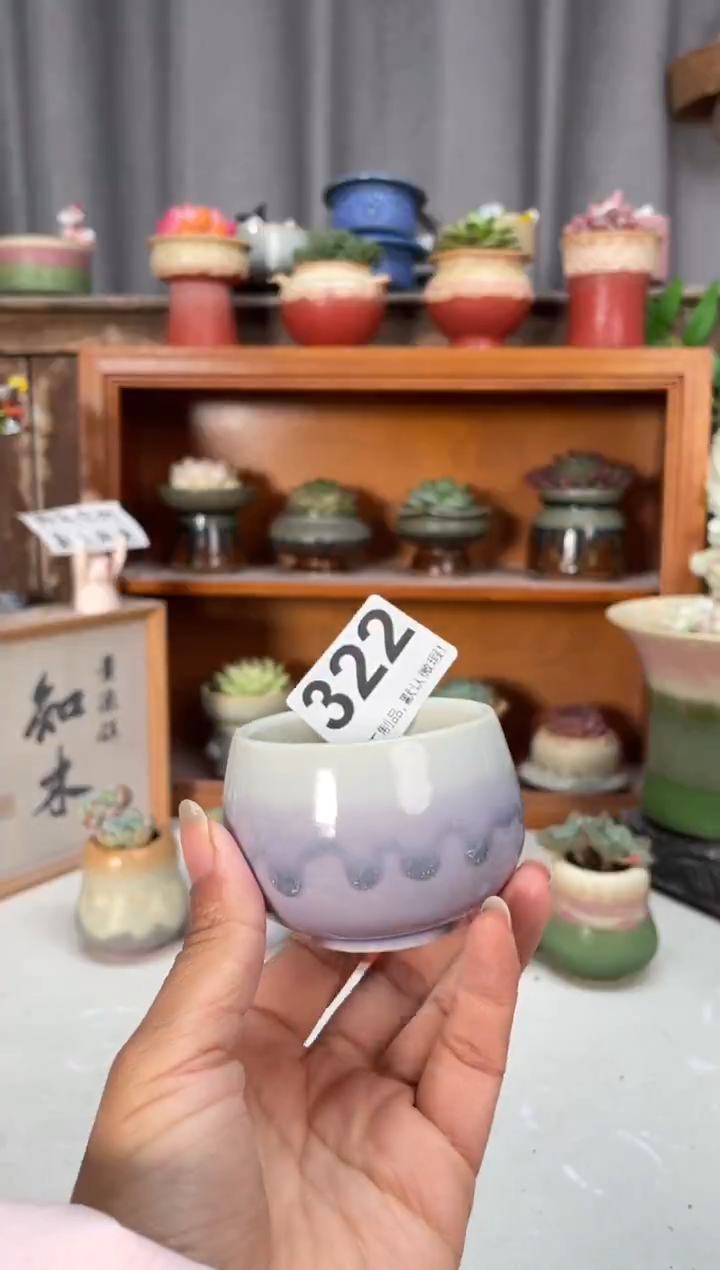 瓷片322知木小芳花盆