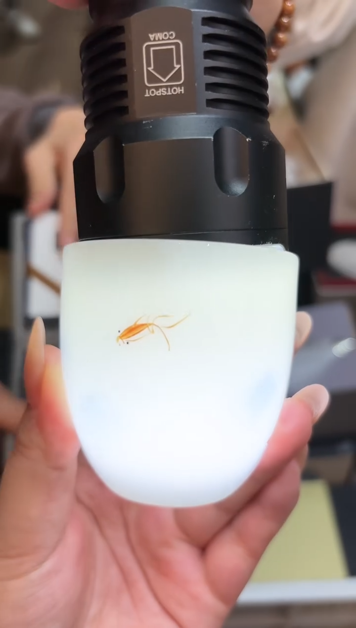 【闪购商品】@@@@@@@@@@@@1422