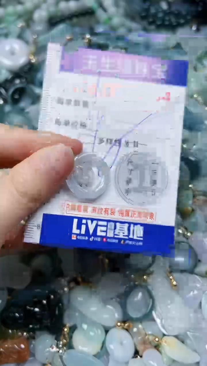 【闪购商品】翡翠颈饰未镶嵌闪购0000834