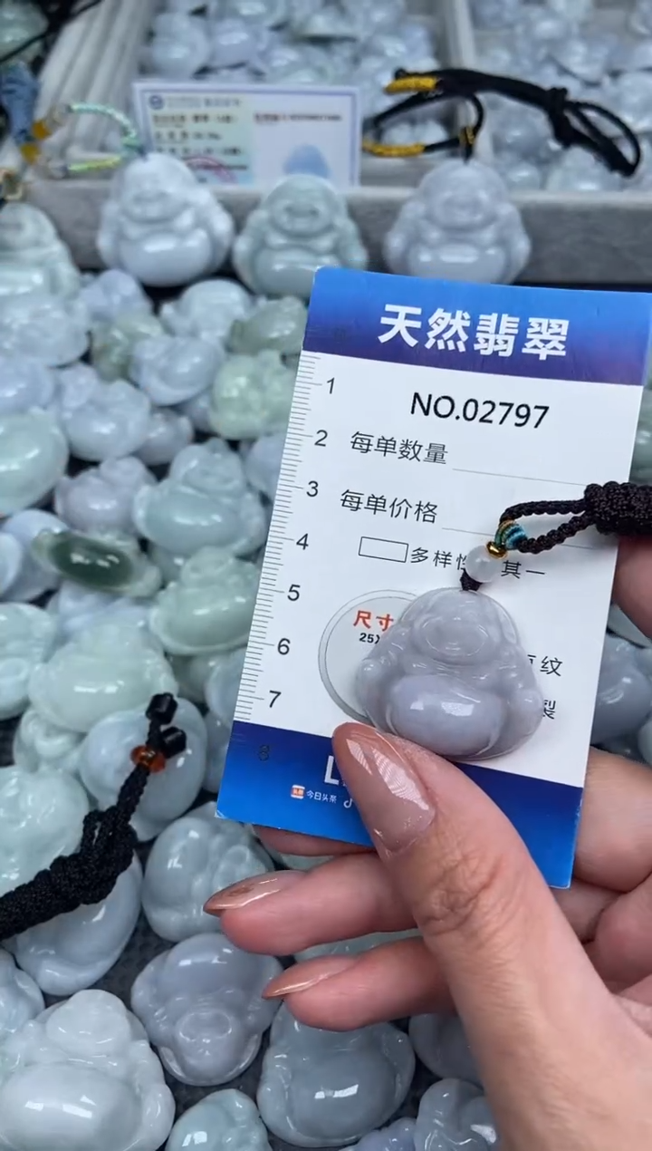 颈饰未镶嵌翡翠纯天然A货翡翠2797