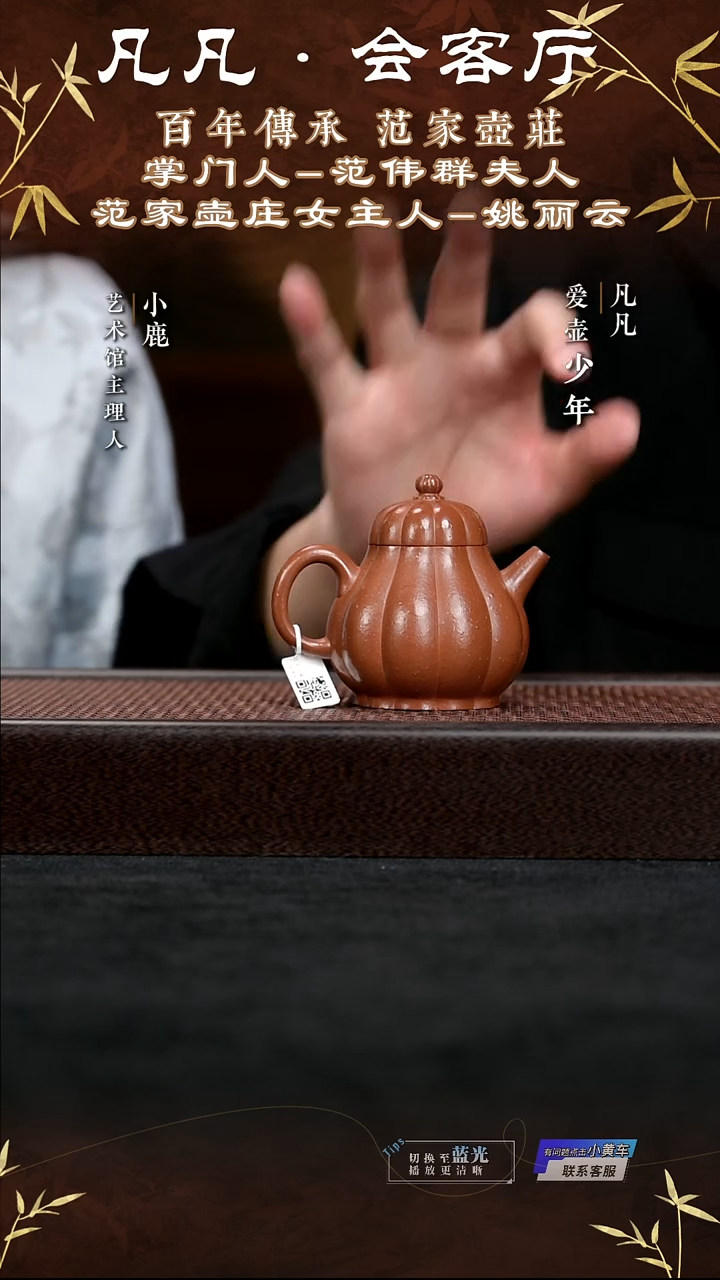 茶壶紫砂姚丽云紫砂壶158 &凡凡会客厅 菊瓣潘壶160cc朱泥