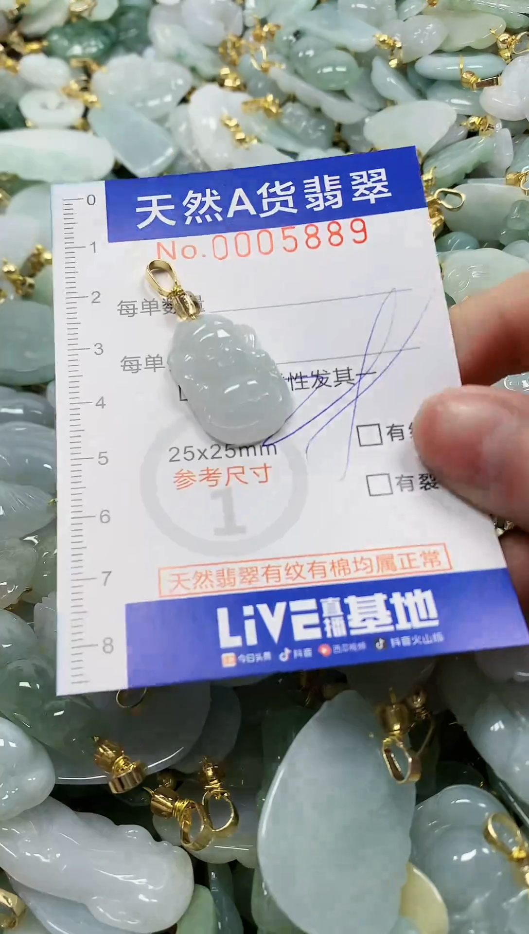 颈饰未镶嵌翡翠纯天然a货翡翠