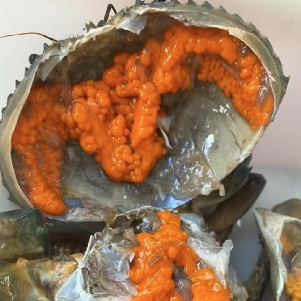 【5只99WW】红膏蟹 螃蟹包活到家 包有膏包有黄 100-150g/只蟹同城送