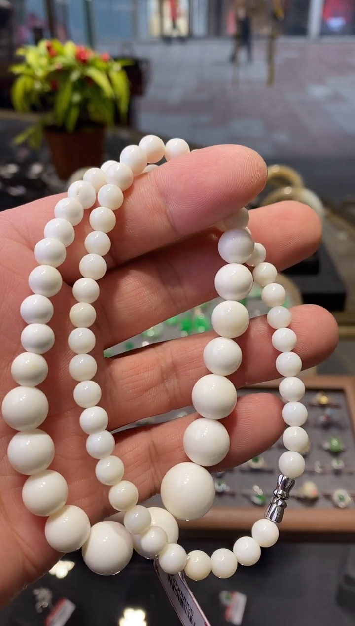 【闪购商品】贝壳（贝母）32未镶嵌亏米福利