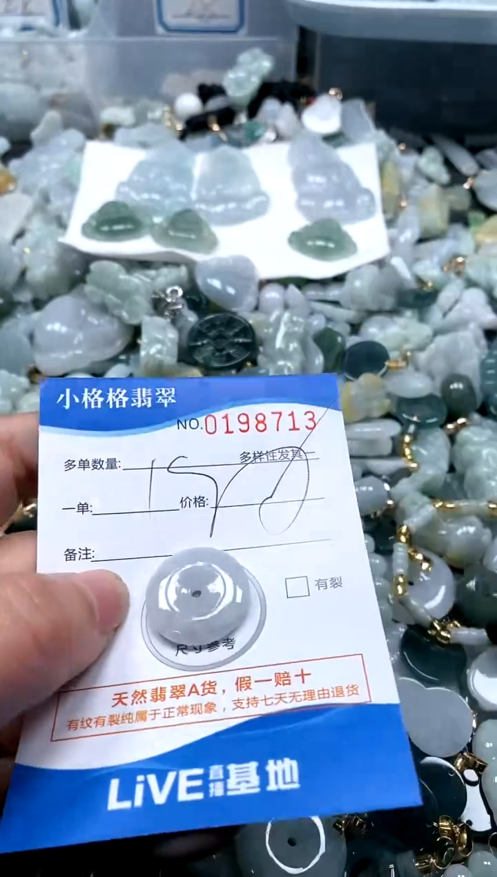 【闪购商品】翡翠颈饰未镶嵌闪购商品0198713