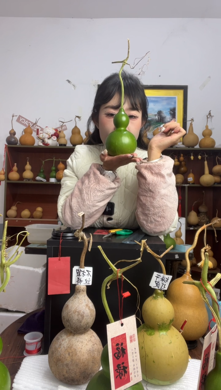 288天然葫芦摆件 一物一拍龙头不保售后