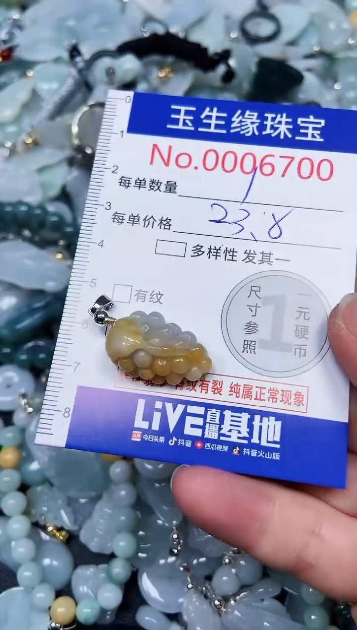 【闪购商品】翡翠颈饰未镶嵌闪购00006700