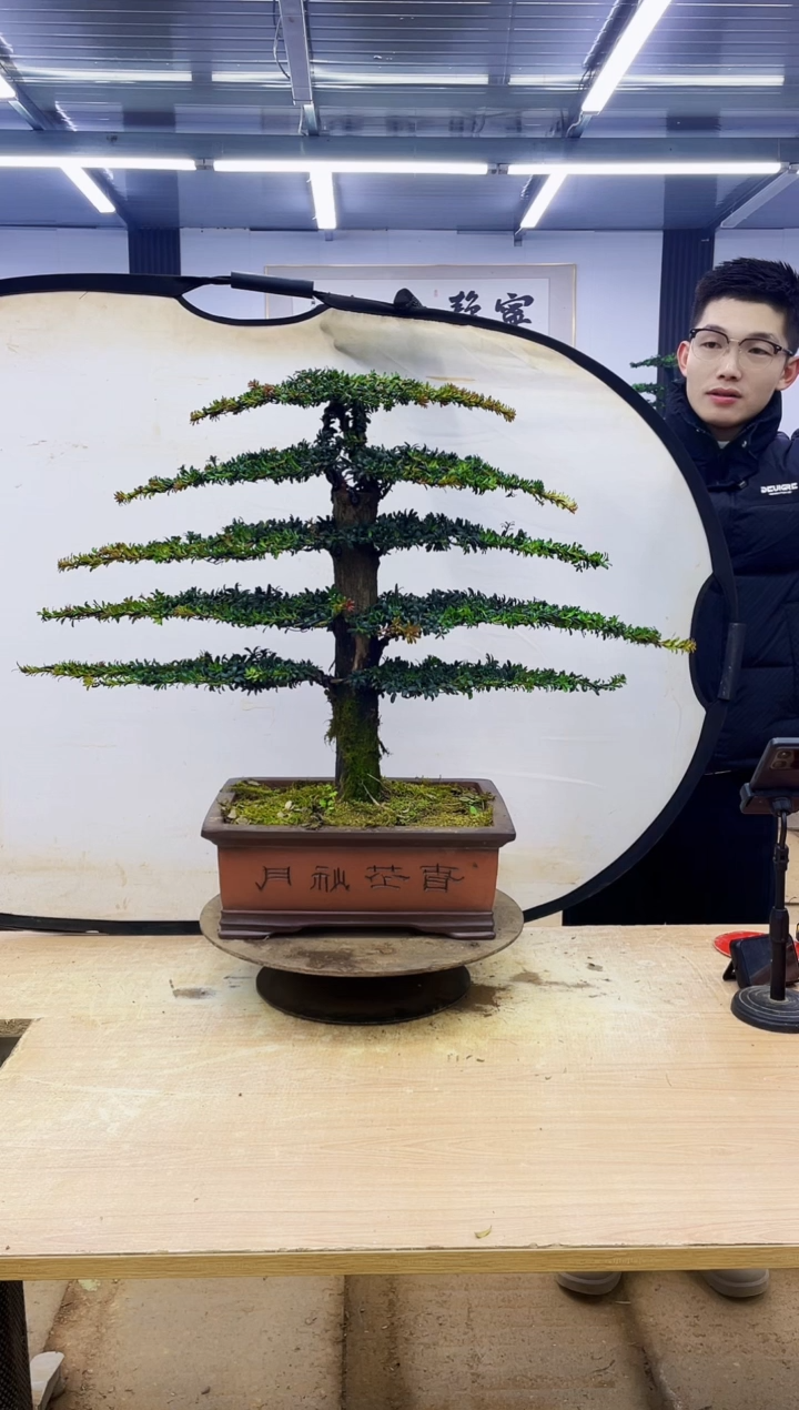 无花朵虞**茶000000000000000