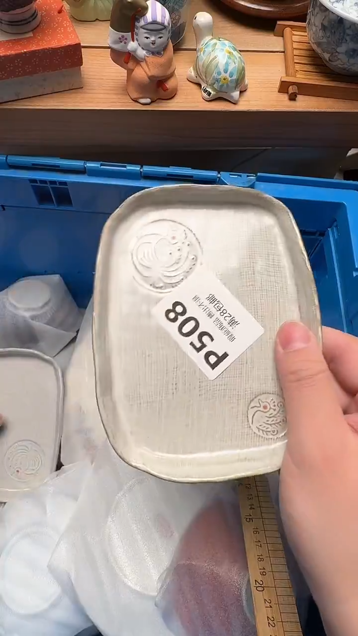 瓷片L***FP508            