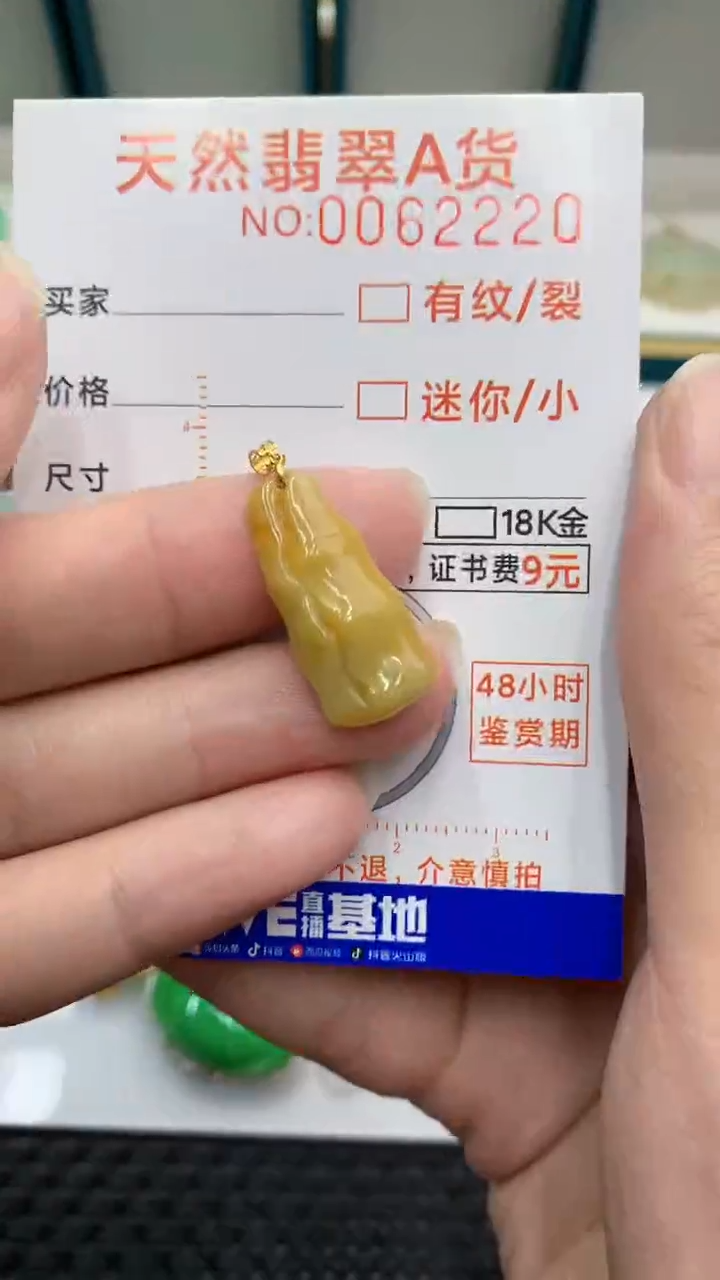 【闪购商品】翡翠颈饰18K金镶嵌            8