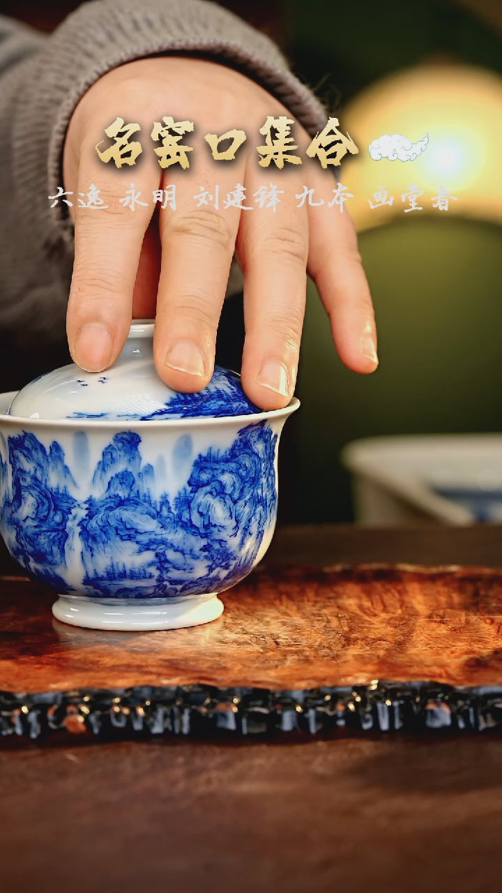 【闪购商品】瓷片刘建锋······