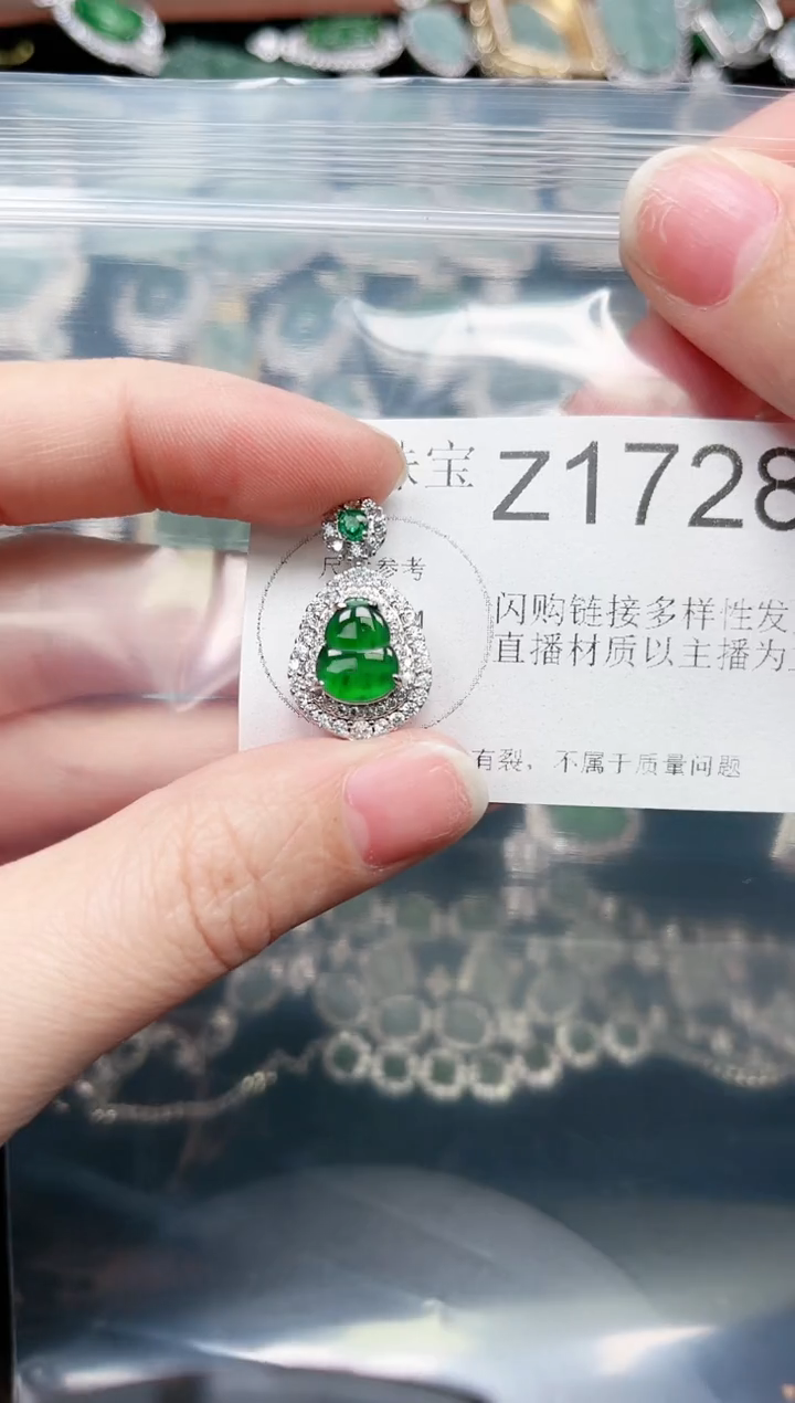 【闪购商品】翡翠颈饰未镶嵌赠皮绳1728