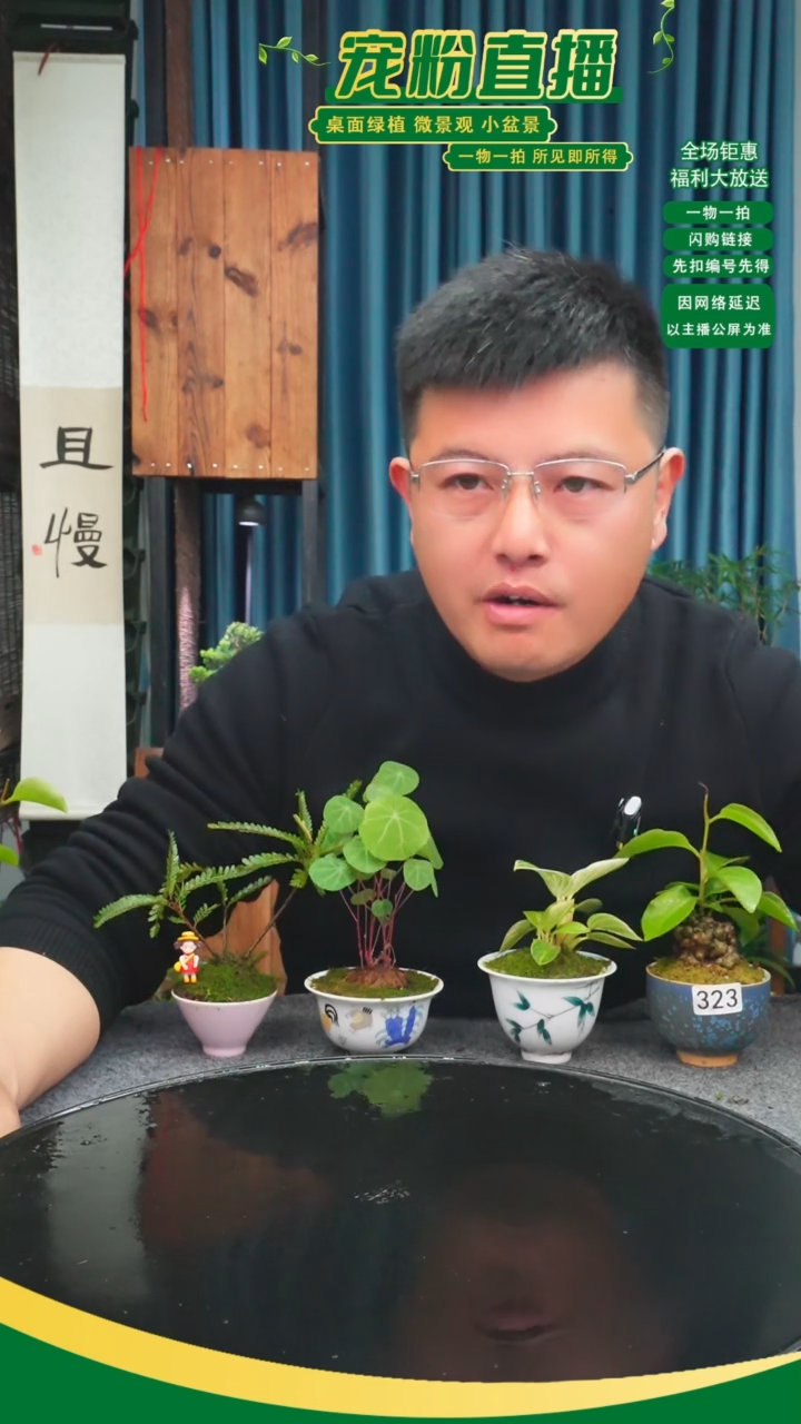 无花朵雨*苔藓微景观323号