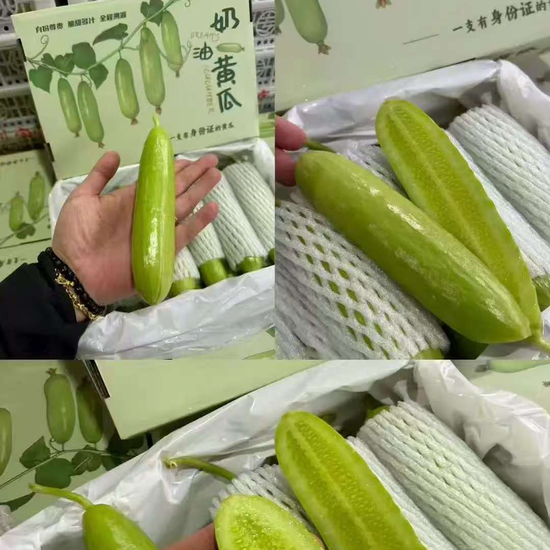 【奶油黄瓜】清甜脆口，自然甜蜜，营养丰富黄瓜