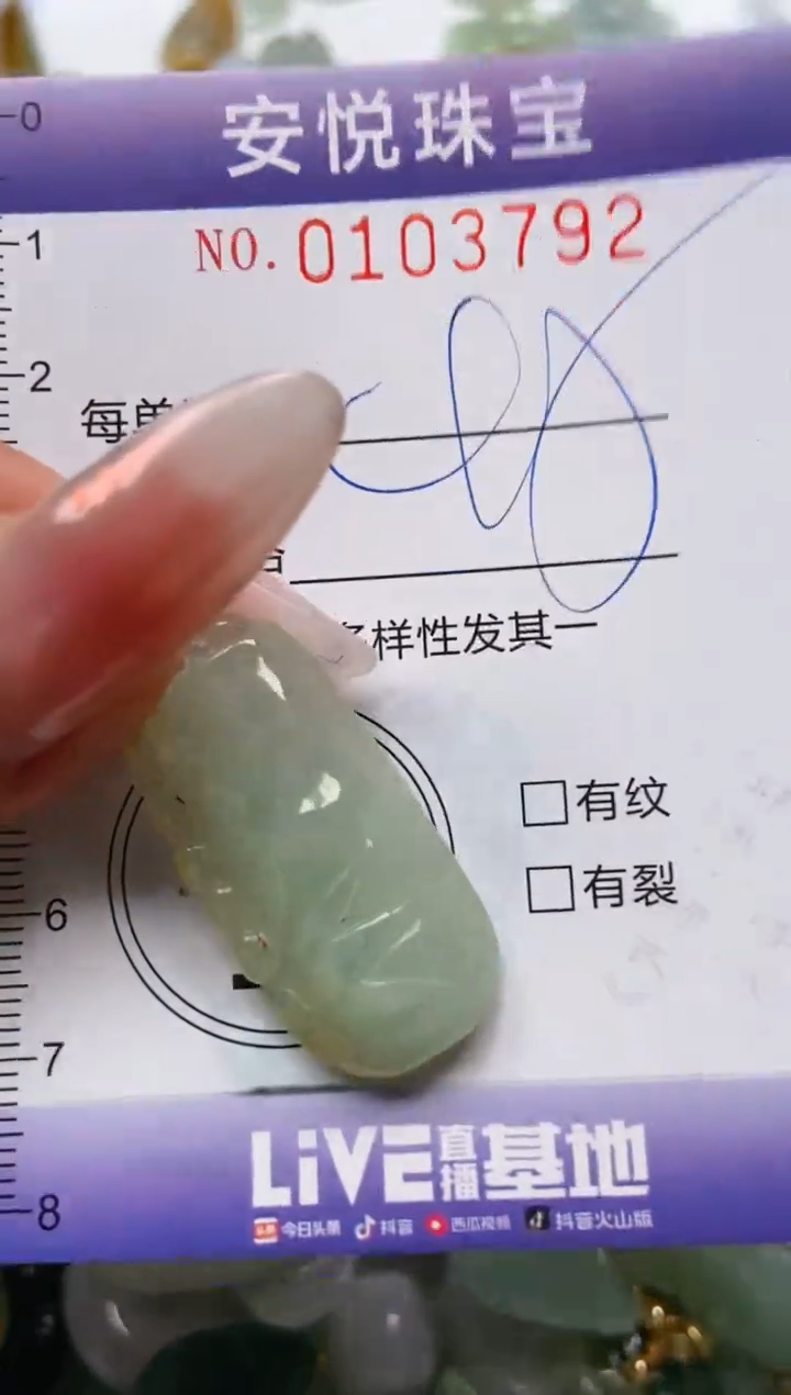 【闪购商品】翡翠颈饰未镶嵌闪购0103792