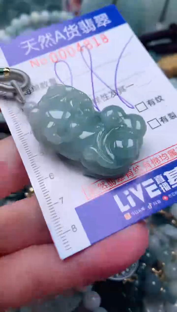 【闪购商品】翡翠颈饰未镶嵌00004818