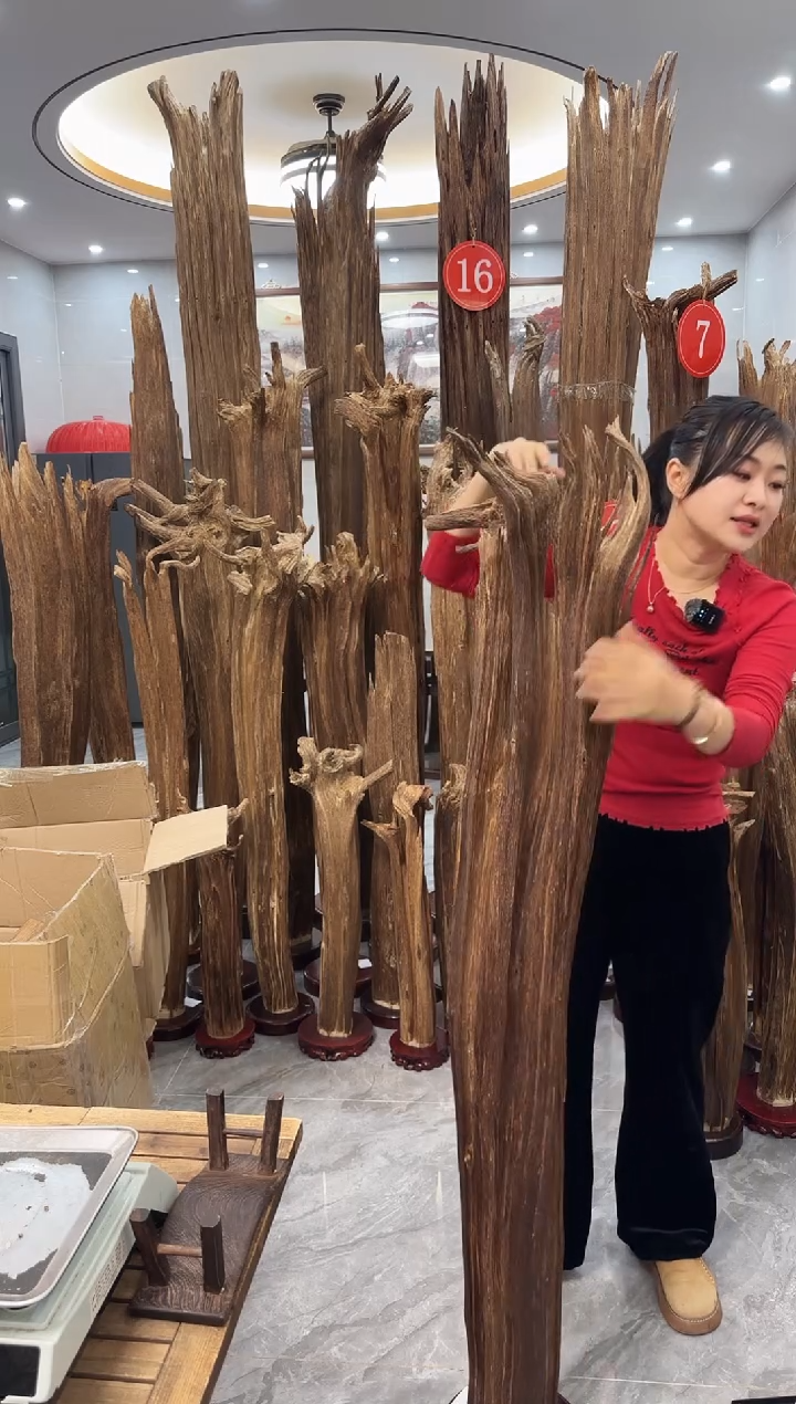 【闪购商品】沉香摆件沉香摆件多样性发货一个17