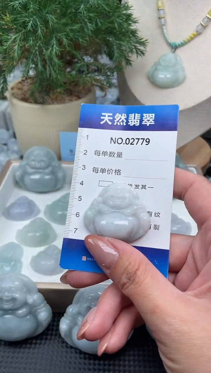 颈饰未镶嵌翡翠纯天然A货翡翠2779