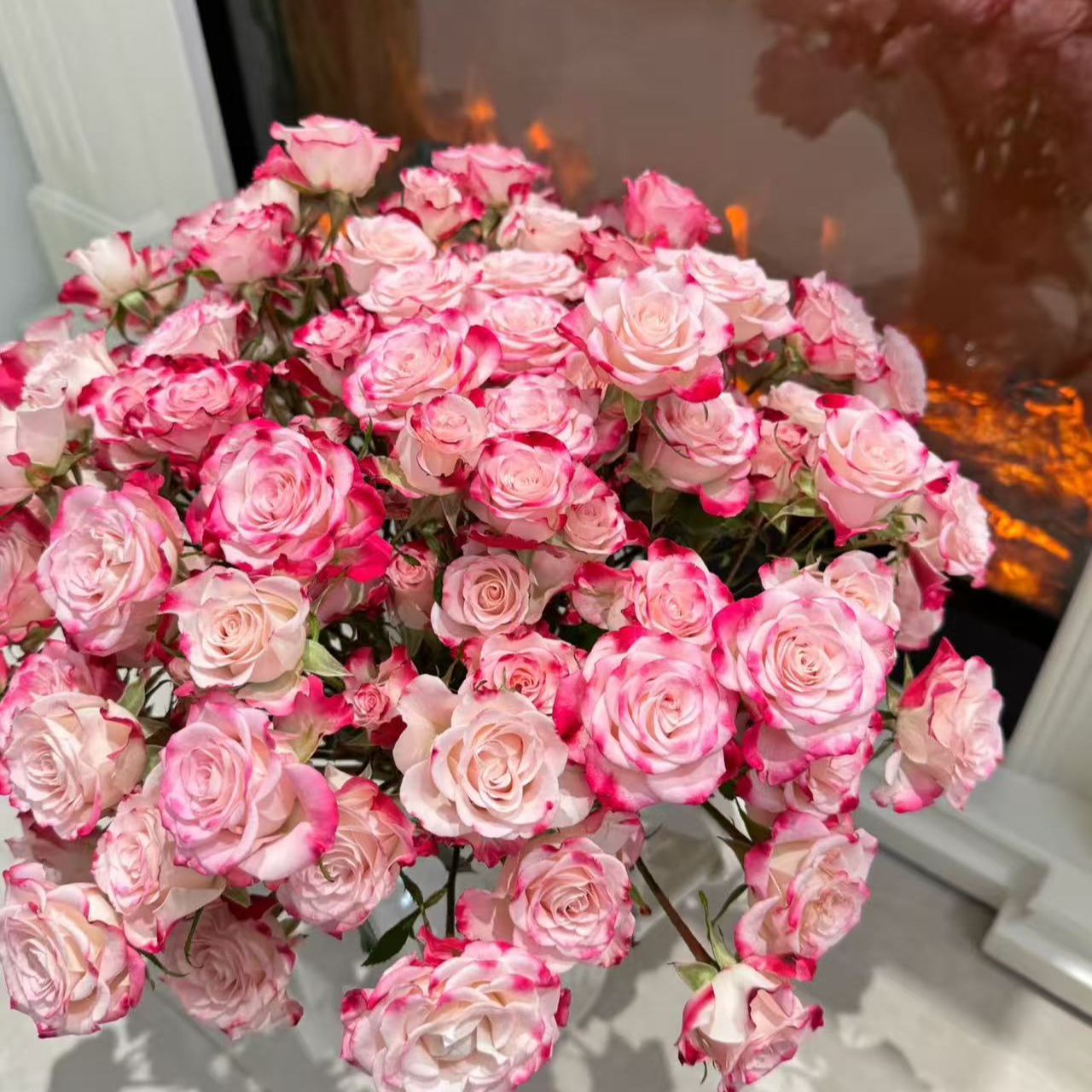 （一单包邮） 折射多头玫瑰 鲜花云南基地直发