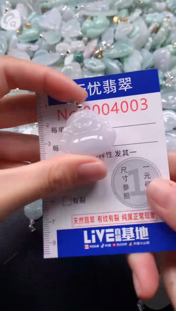 颈饰未镶嵌翡翠4003