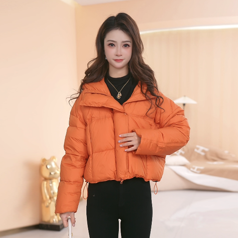 【羽绒服】冬季白鸭绒羽绒服百搭新款时尚莫瑞系穿搭休闲保暖女装