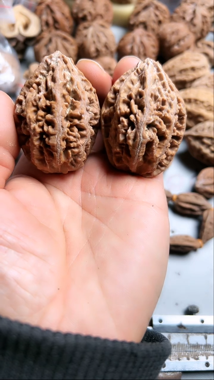 核桃东北野生大秋子7