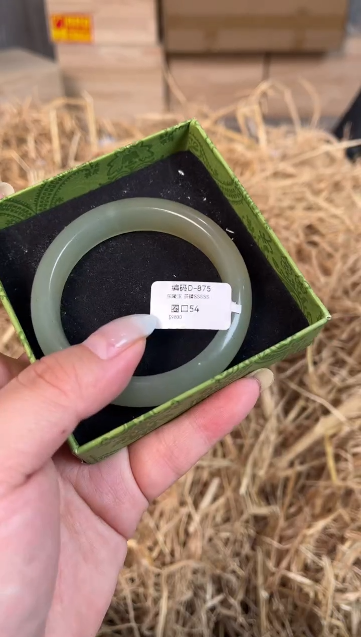 未镶嵌手镯石英质玉D-875