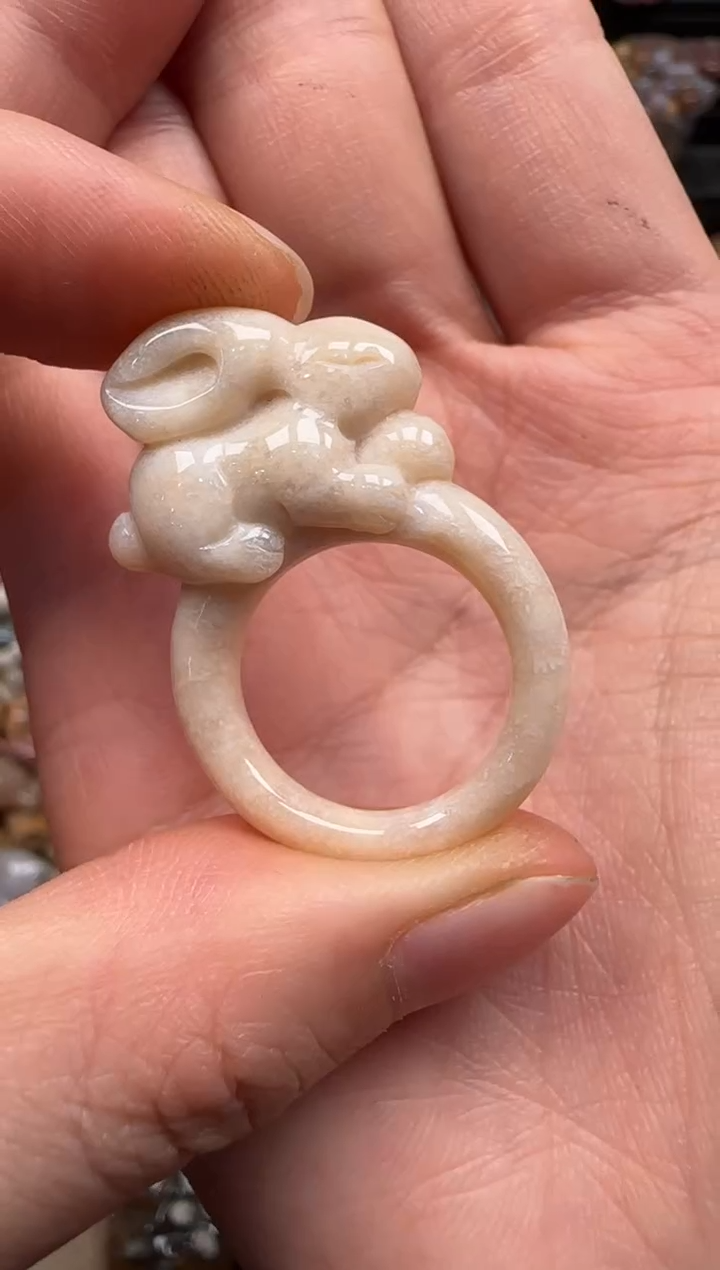 【闪购商品】硅化珊瑚（珊瑚玉）颈饰未镶嵌099