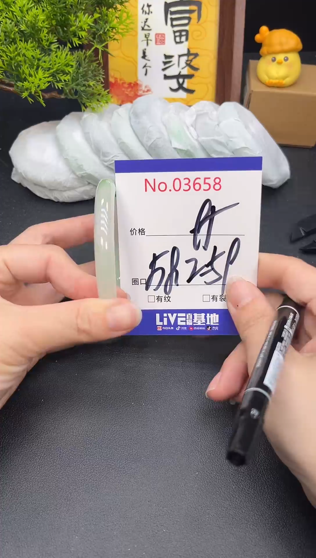 未镶嵌手镯翡翠3658