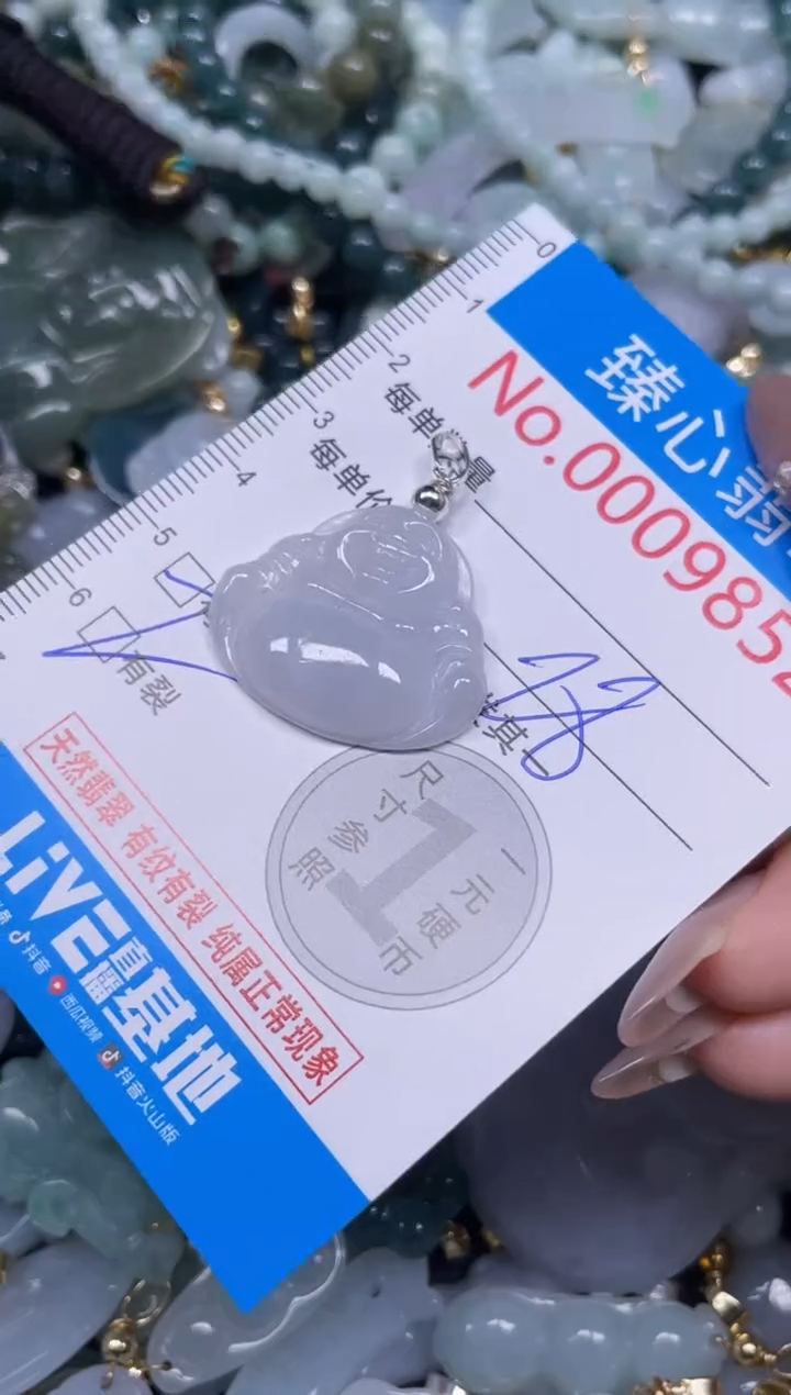 颈饰未镶嵌翡翠9852