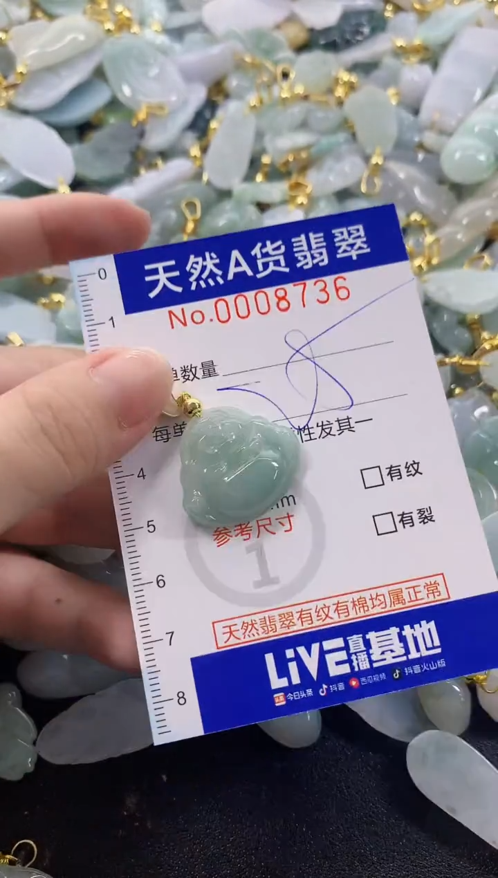 颈饰未镶嵌翡翠天然A货翡翠