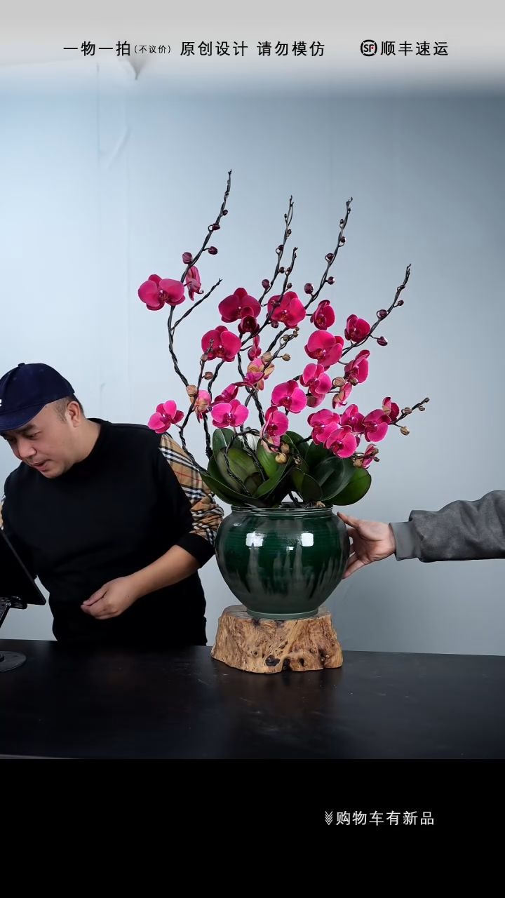 【闪购商品】089号链接【一物一拍】艺术盆景