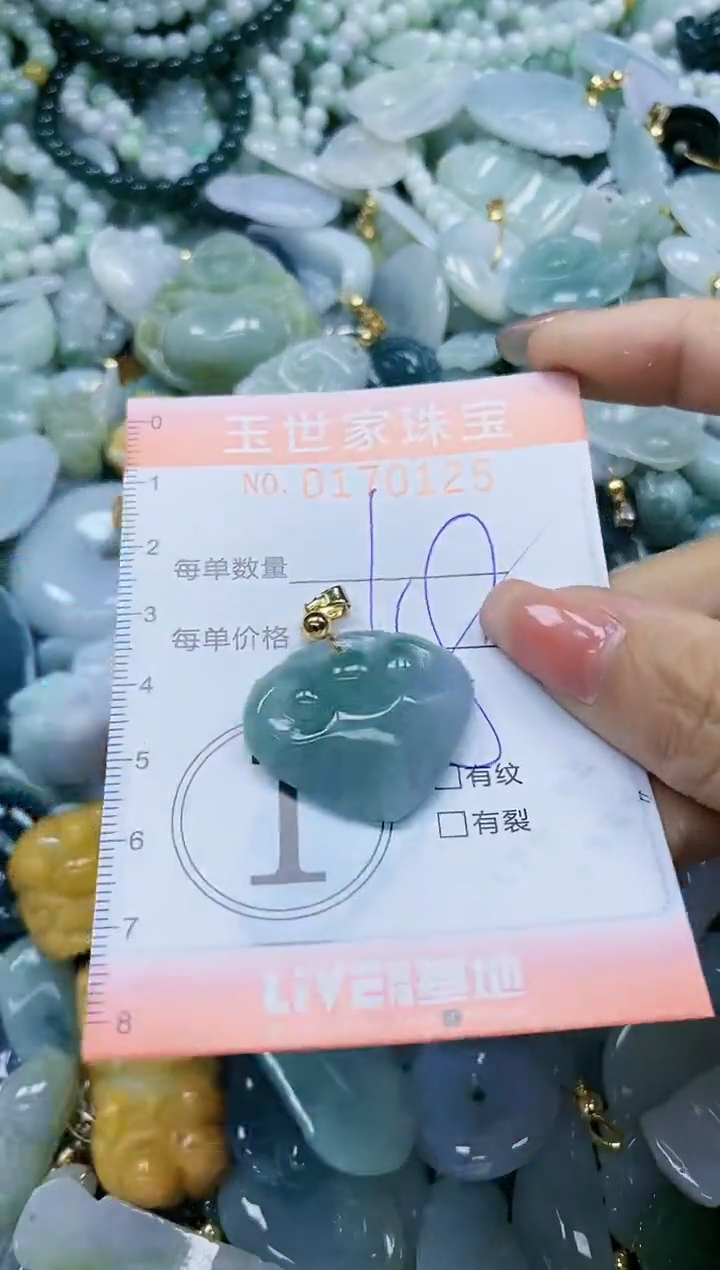 【闪购商品】翡翠颈饰未镶嵌闪购0170125