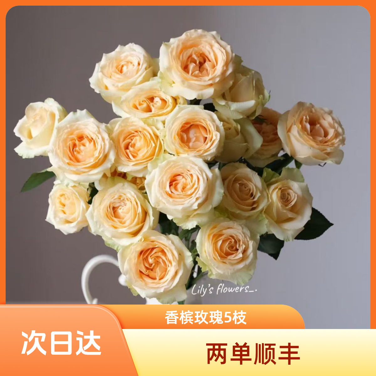 香槟玫瑰 常州鲜花批发直播 家居花江浙沪皖次日达