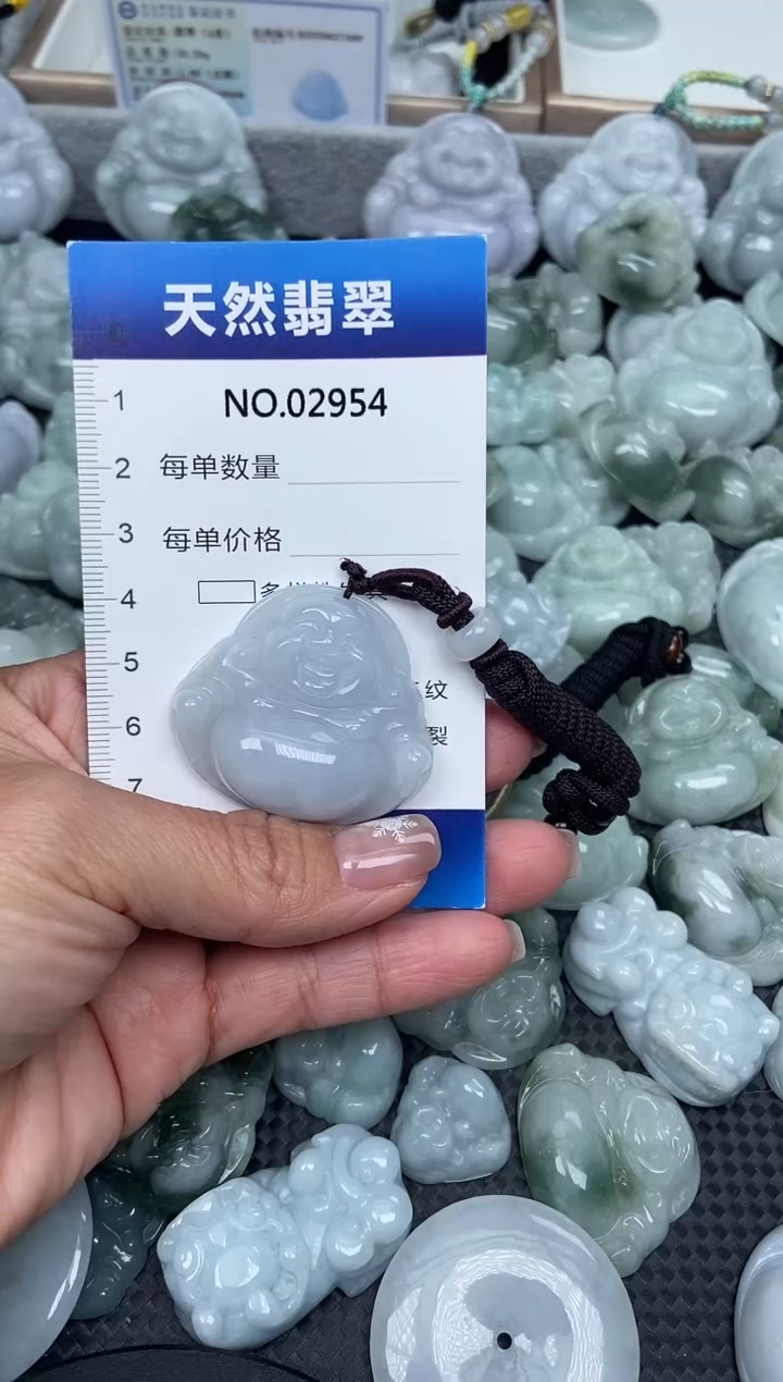 颈饰未镶嵌翡翠纯天然A货翡翠2954