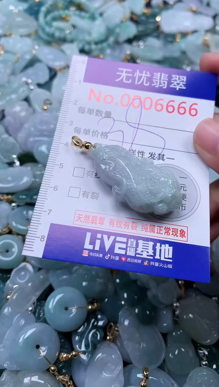 颈饰未镶嵌翡翠6666