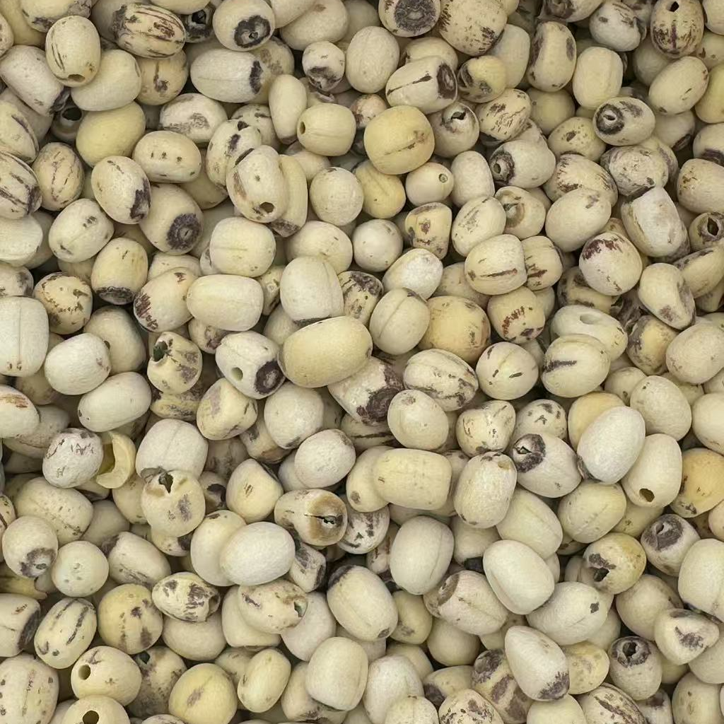 【郑书记助农】白莲子生莲子无硫野生莲子软糯香甜