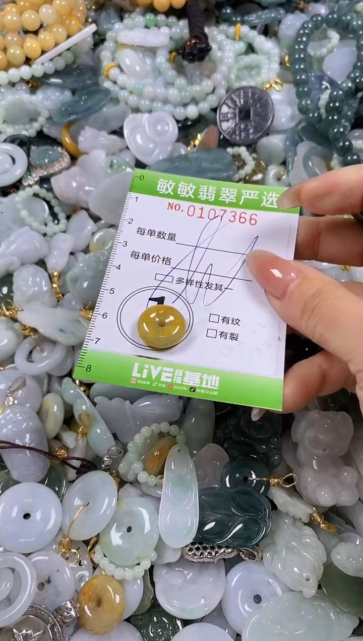【闪购商品】翡翠颈饰未镶嵌闪购0107366多样性发其一