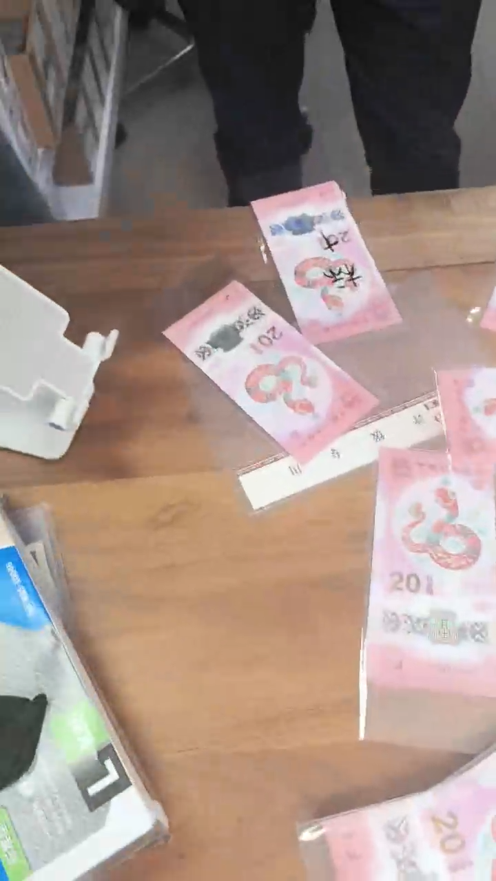 【闪购商品】塑料PCGS发财灵蛇（含0888）标十无47