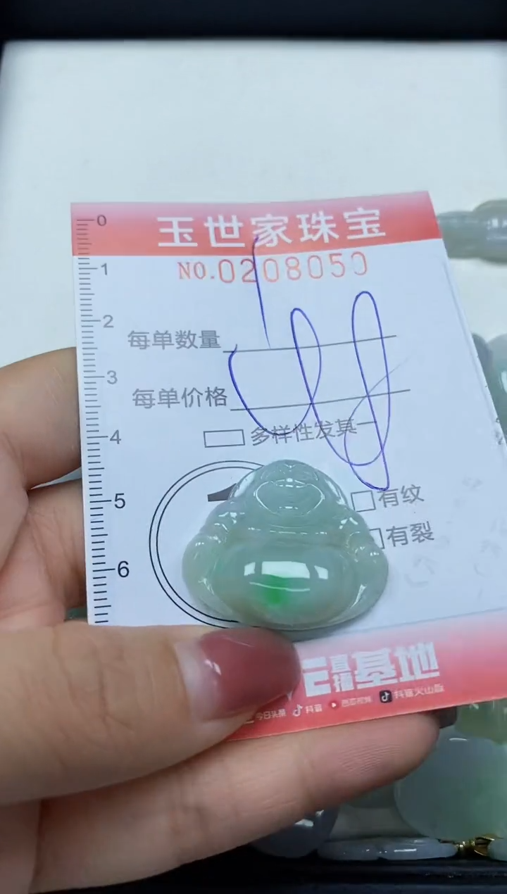 【闪购商品】翡翠颈饰未镶嵌闪购0208050