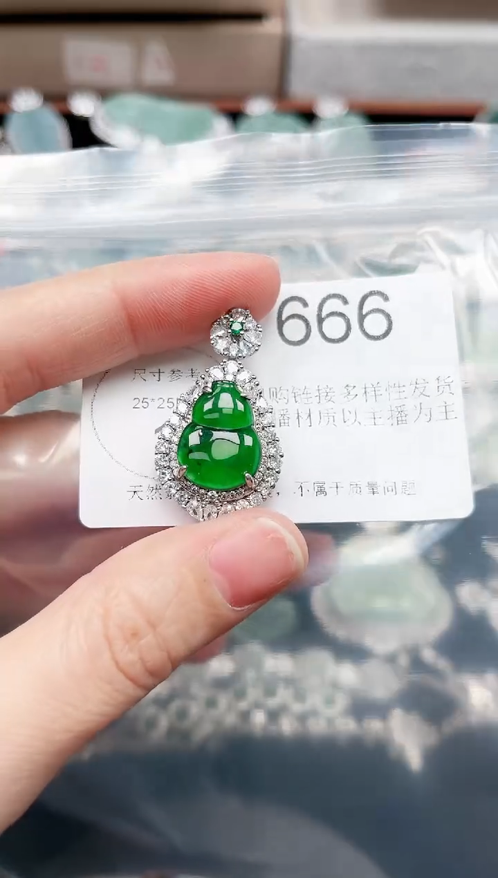 【闪购商品】翡翠颈饰未镶嵌赠皮绳666