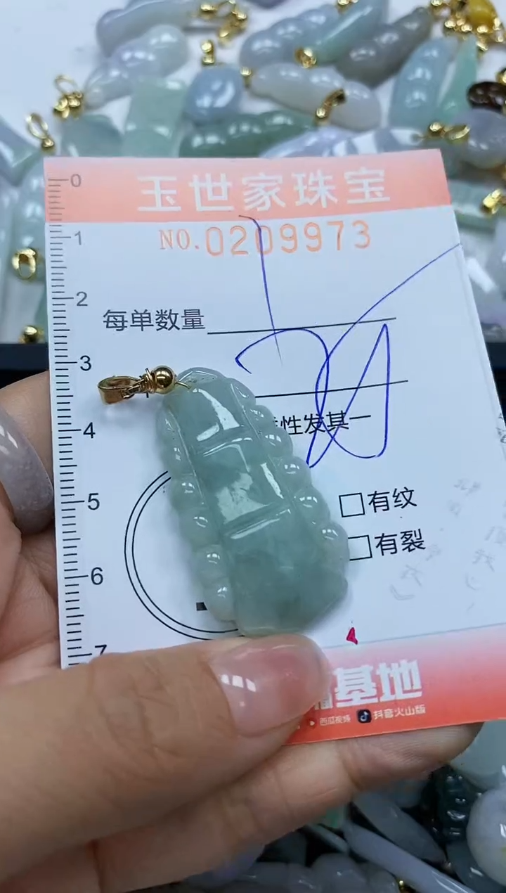 【闪购商品】翡翠颈饰未镶嵌闪购0209973