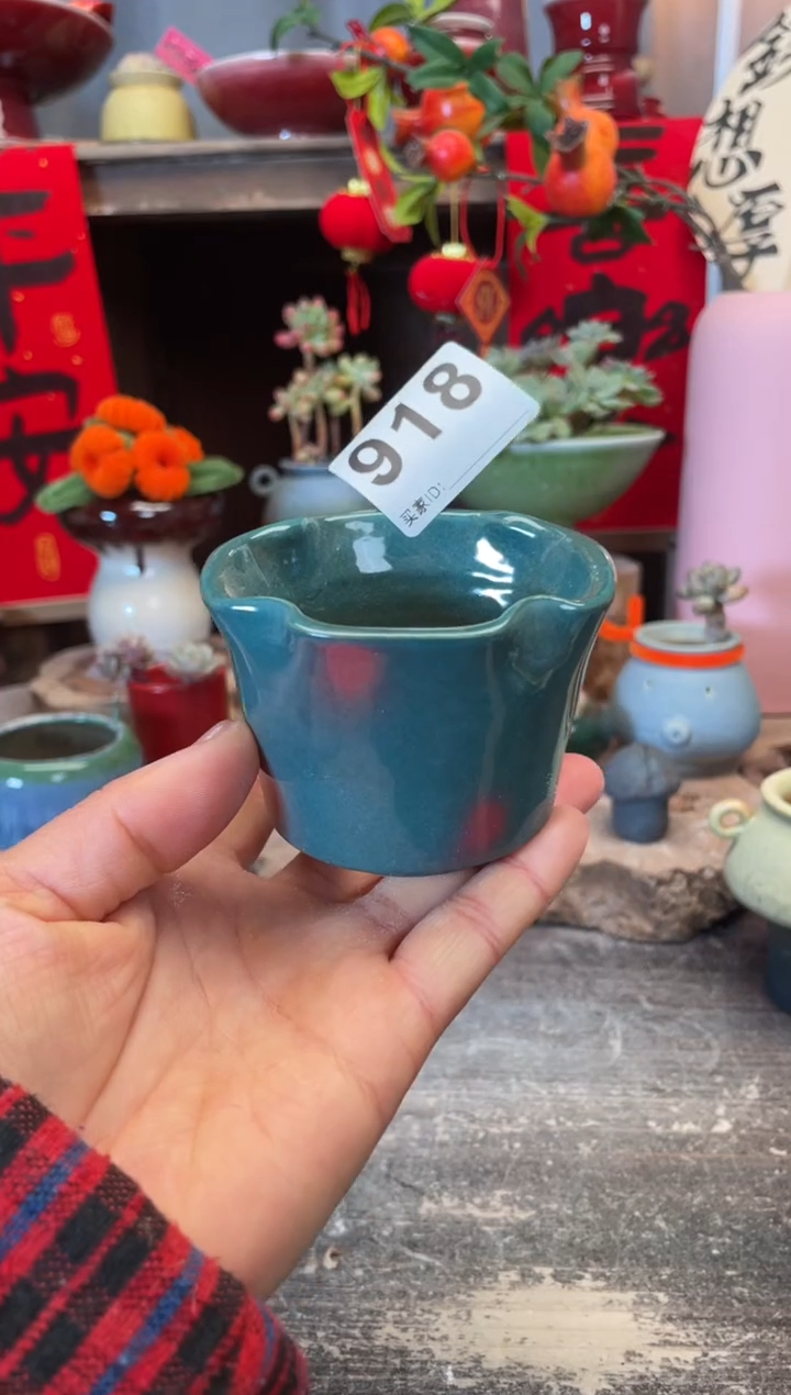 【闪购商品】摆件918知木小芳花盆