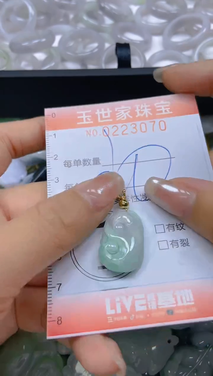 翡翠未镶嵌颈饰闪购0223070