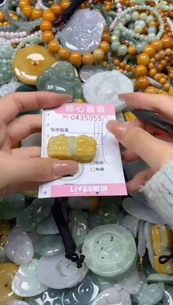 颈饰未镶嵌翡翠闪购0435059