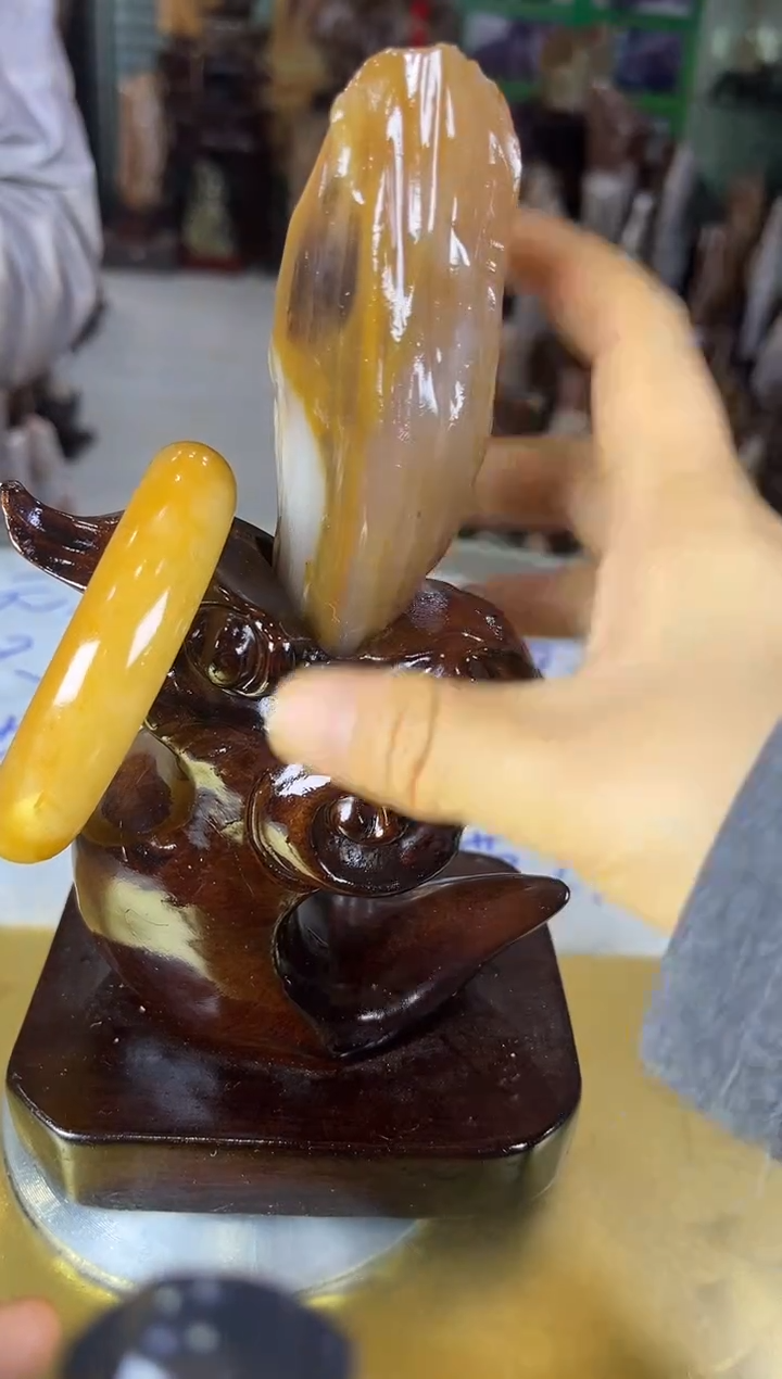 未镶嵌珠宝奇石硅化玉缅甸天然树化玉精品居家摆件