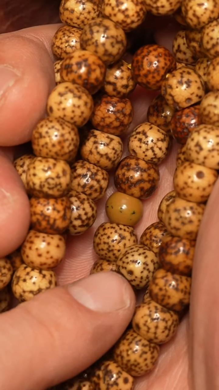 【闪购商品】冲赛康胡子哥，藏传念珠203