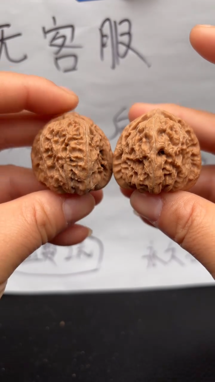 把件文玩核桃54白狮子