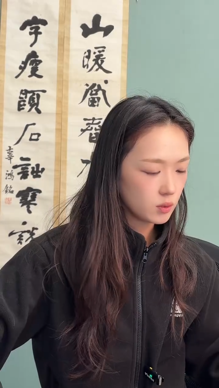 国画凌辜老师对联